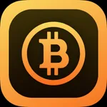 Bitcoin Rehberi - 2021 icon