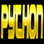 iPython icon