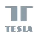 TESLA Smart icon