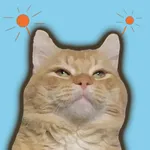 Cat animated emoji stickers icon