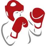 Light-Contact Boxing icon