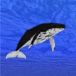 Whale training icon