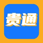 贵通三元催化 icon