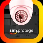 sim.protege icon