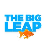 Big Leap icon