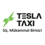 Tesla Taxi icon