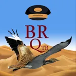 BR QTR Rider icon