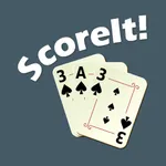 ScoreIt! 313 icon