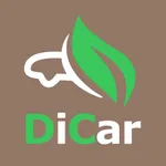 DiCar icon