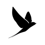 Flyby Messaging icon