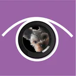 KeepDogEye.com icon