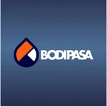 Catálogo de peças Bodipasa icon