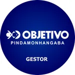 Gestor Objetivo Pinda icon