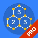 Slitherlink - Pro icon