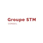 Groupe STM Conseil et Associés icon