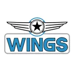 Wings Over U.S.A. icon