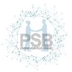 PSB Expertises icon