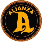 Alianza partner old icon