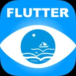 Flutter示例+ icon