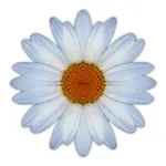 TASBillerCloud Daisy icon