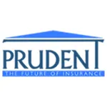 Prudent plus V 3.0 icon