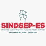 Sindsep ES icon