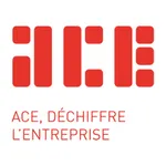 AUDIT CONSEIL DES ENTREPRISES icon