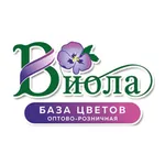 Виола icon