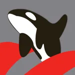 Orca Roeien icon