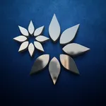 BBK Mobile icon