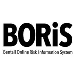 Boris Mobile icon