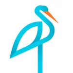 Rebird icon