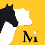 Macedo Leilões Rurais icon