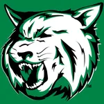 Houghton Lake Bobcats icon