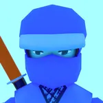 Ninja Power Test icon