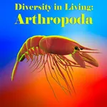 Diversity in Living:Arthropoda icon