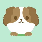 yuru Dog Photo icon