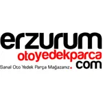 Erzurum Oto icon