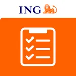 ING Lease Inspections icon