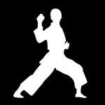 Okinawa Karate Navi icon