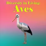 Diversity in Living: Aves icon