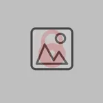 Bury Image icon
