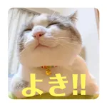 Izumon(cat)Sticker icon