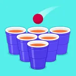 Drop It Right - Ball Puzzle icon