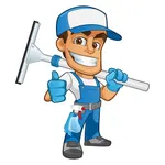 Window Cleaning Game - WFP Fun icon