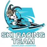 Ski Racing Team icon