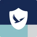 IB TreasuryONE Security icon