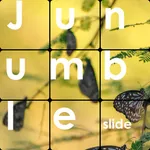 Junumble - Slide icon