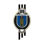 FC Schüttorf 09 e.V. icon