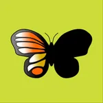 Shapes of Butterflies icon